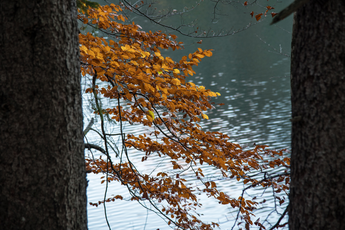 Boje jeseni na Plitvičkim jezerima