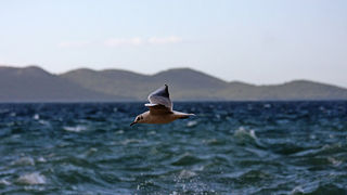 Velika Plima (foto: Marin Gospić)
