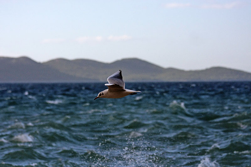 Velika Plima (foto: Marin Gospić)