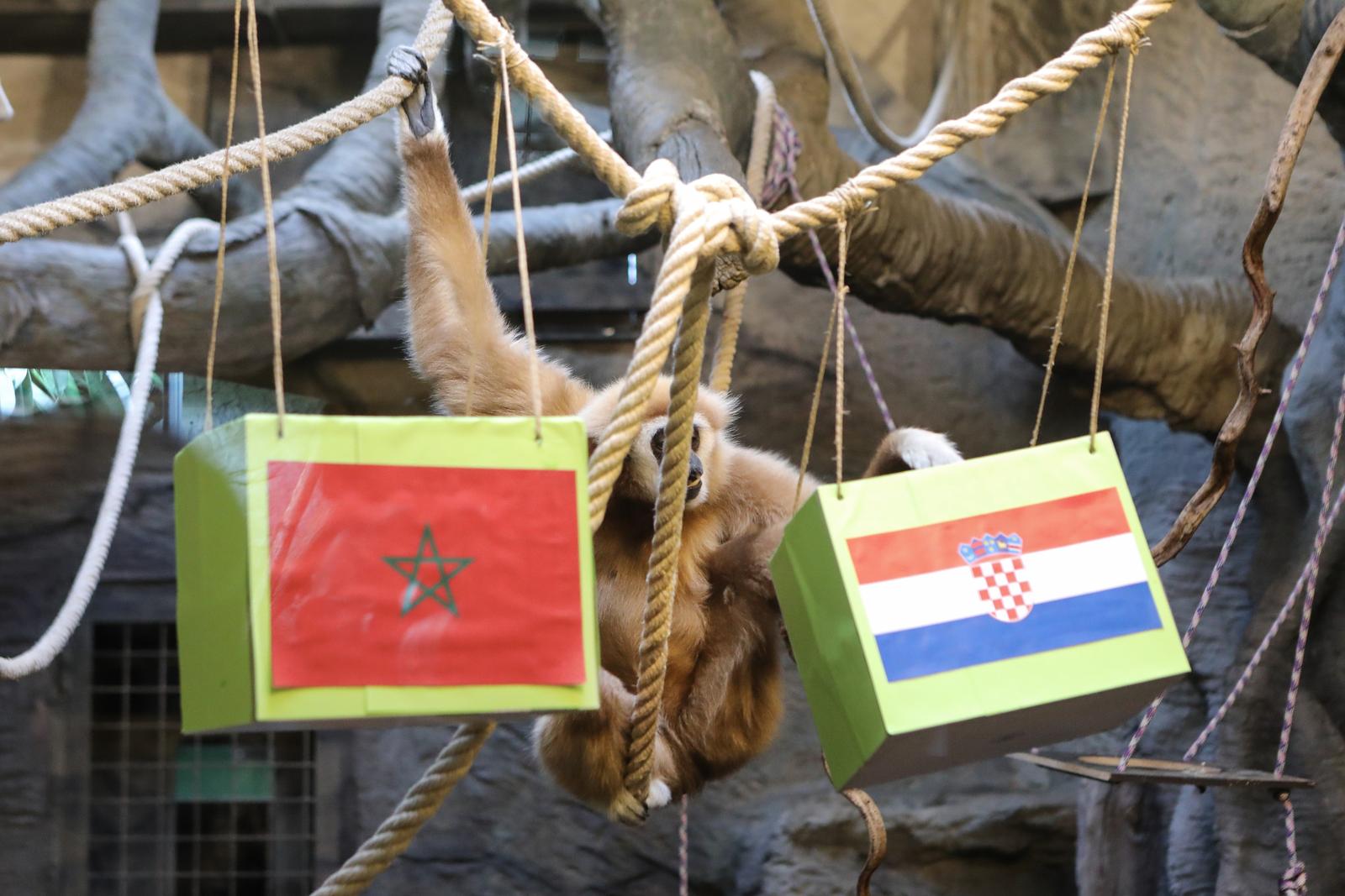 Gibon Kent odabrao pobjednika utakmice Hrvatska – Maroko