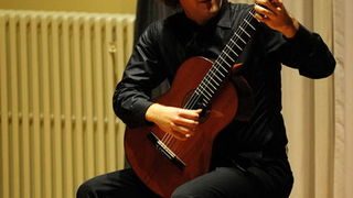 Koncert Petra Culica