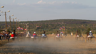 Polača: 14. Međunarodne konjičke utrke “Oluja 95”, Foto: Leo Banić Polača: 14. Međunarodne konjičke utrke “Oluja 95”, Foto: Leo Banić