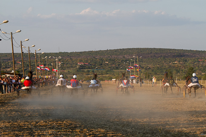 Polača: 14. Međunarodne konjičke utrke “Oluja 95”, Foto: Leo Banić Polača: 14. Međunarodne konjičke utrke “Oluja 95”, Foto: Leo Banić