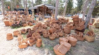 Benkovački sajam u objektivu Dina Stanina