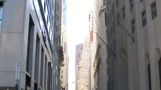 Image 1183869 (auto)