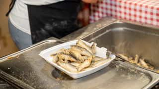 Severina @ Privlačka noć 2024. Severina @ Privlačka noć 2024.