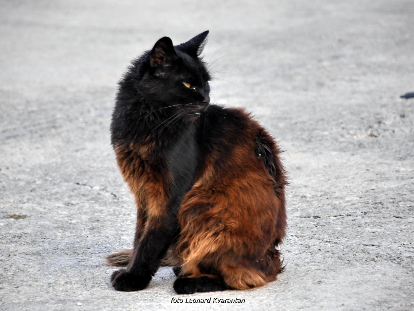 Iške crtice u objektivu Leonarda Kvarantana