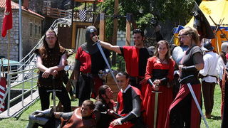 Zvonimirovi dani, Knin 28. i 29. lipnja 2008.