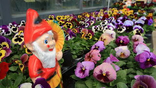 bauMax Zadar: -15% dan 19. ožujka 2014, Foto: Roberto Lerga bauMax Zadar: -15% dan 19. ožujka 2014, Foto: Roberto Lerga