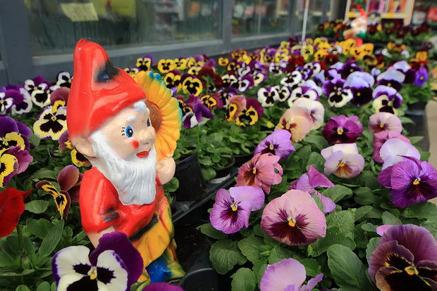 bauMax Zadar: -15% dan 19. ožujka 2014, Foto: Roberto Lerga bauMax Zadar: -15% dan 19. ožujka 2014, Foto: Roberto Lerga