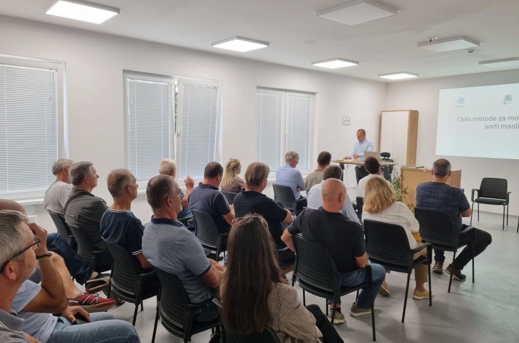 Radionica o morfologiji autohtonih sorti maslina Zadarske županije okupila stručnjake i maslinare u Zemuniku Radionica o morfologiji autohtonih sorti maslina Zadarske županije okupila stručnjake i maslinare u Zemuniku