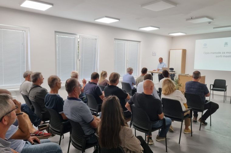 Radionica o morfologiji autohtonih sorti maslina Zadarske županije okupila stručnjake i maslinare u Zemuniku