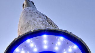 Magla promijenila uobičajene prizore grada i okolice, Foto: Leonard Kvarantan Magla promijenila uobičajene prizore grada i okolice, Foto: Leonard Kvarantan