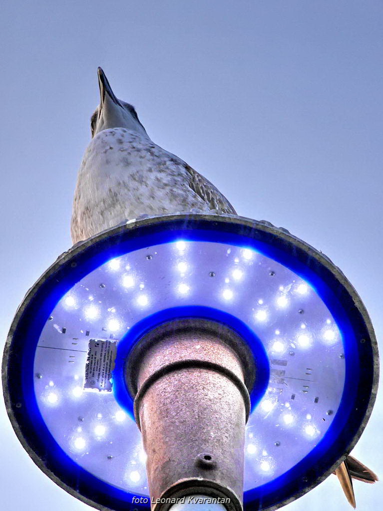 Magla promijenila uobičajene prizore grada i okolice, Foto: Leonard Kvarantan Magla promijenila uobičajene prizore grada i okolice, Foto: Leonard Kvarantan