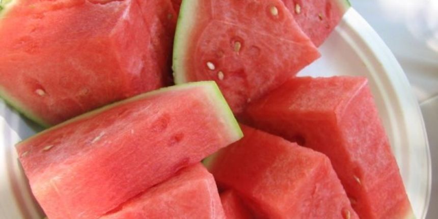 Lubenica, foto: www.agroburza.hr