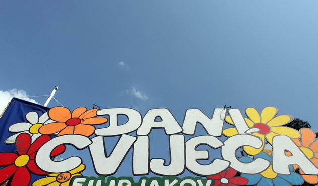 Sveti Filip i Jakov: 11. Dani cvijeca Zadarske zupanije, Foto: Martin Brkljaca