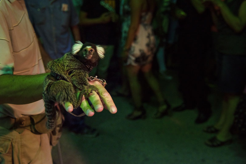 16. Biogradska noć privukla više od 20 tisuća posjetitelja . Photo: Vinko Pešić 16. Biogradska noć privukla više od 20 tisuća posjetitelja . Photo: Vinko Pešić