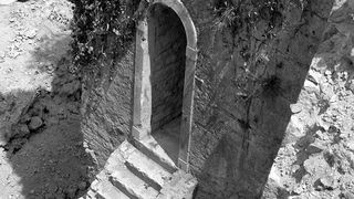 Image 1192093 (auto)