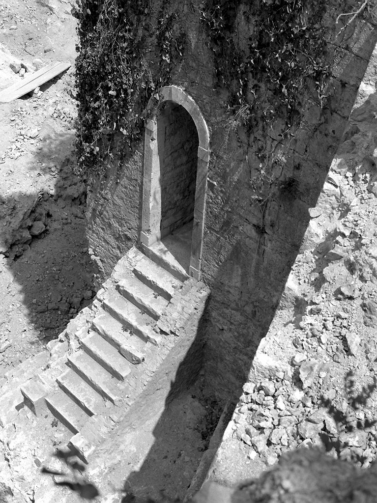 Image 1192093 (auto)