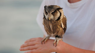 Večernji đir po gradu, 22. lipnja 2023. Večernji đir po gradu, 22. lipnja 2023.