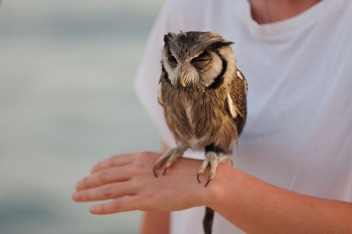 Večernji đir po gradu, 22. lipnja 2023. Večernji đir po gradu, 22. lipnja 2023.