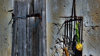 Otvorena izložba Bernarda Kotlara, foto: autor Otvorena izložba Bernarda Kotlara, foto: autor