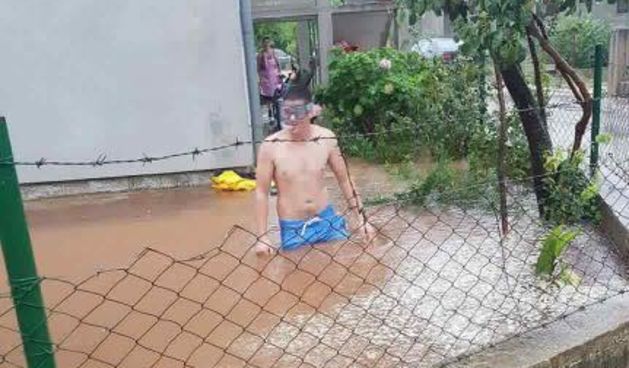 Dnevna doza prosječnog Dalmatinca