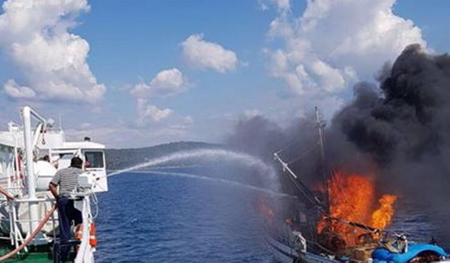 Plivarica u plamenu kod Lamljane