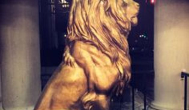 Zlatni lav, foto:pinterest.com