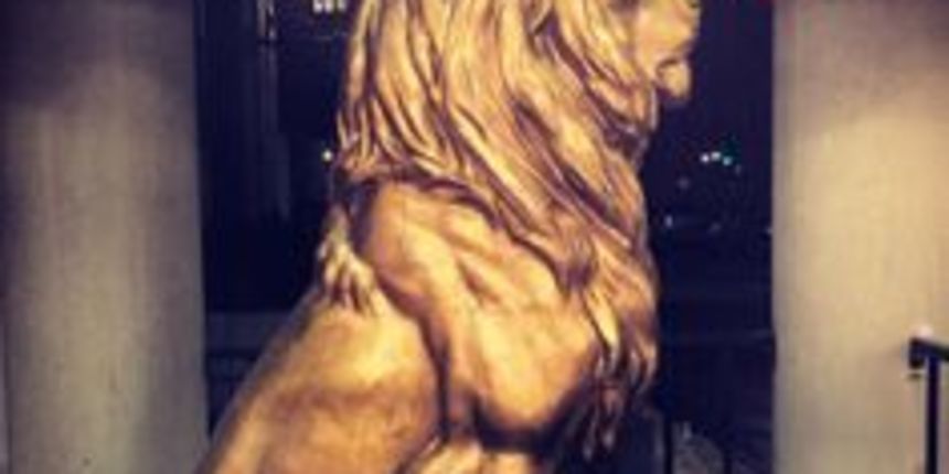 Zlatni lav, foto:pinterest.com