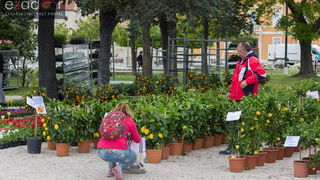 Đir po gradu 20. travnja 2017. Đir po gradu 20. travnja 2017.