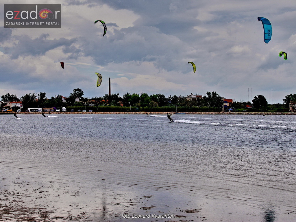 Kiteri guštali u refulima ninske bure Kiteri guštali u refulima ninske bure