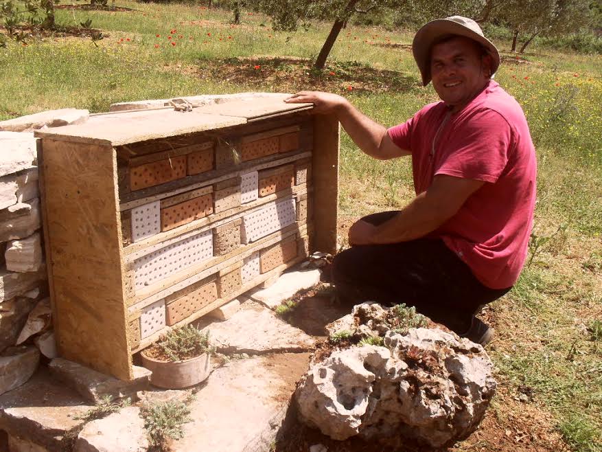 Hotel za solitarne pčele i druge korisne kukce u ekološkom masliniku OPG-a Čirjak