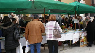 Na Narodnom trgu obilježen Međunarodni dan socijalnog rada