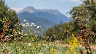 Simpatična galerija koja prikazuje životinjsku farmu na najvišem južnom vrhu Velebita – Crnopcu Simpatična galerija koja prikazuje životinjsku farmu na najvišem južnom vrhu Velebita – Crnopcu