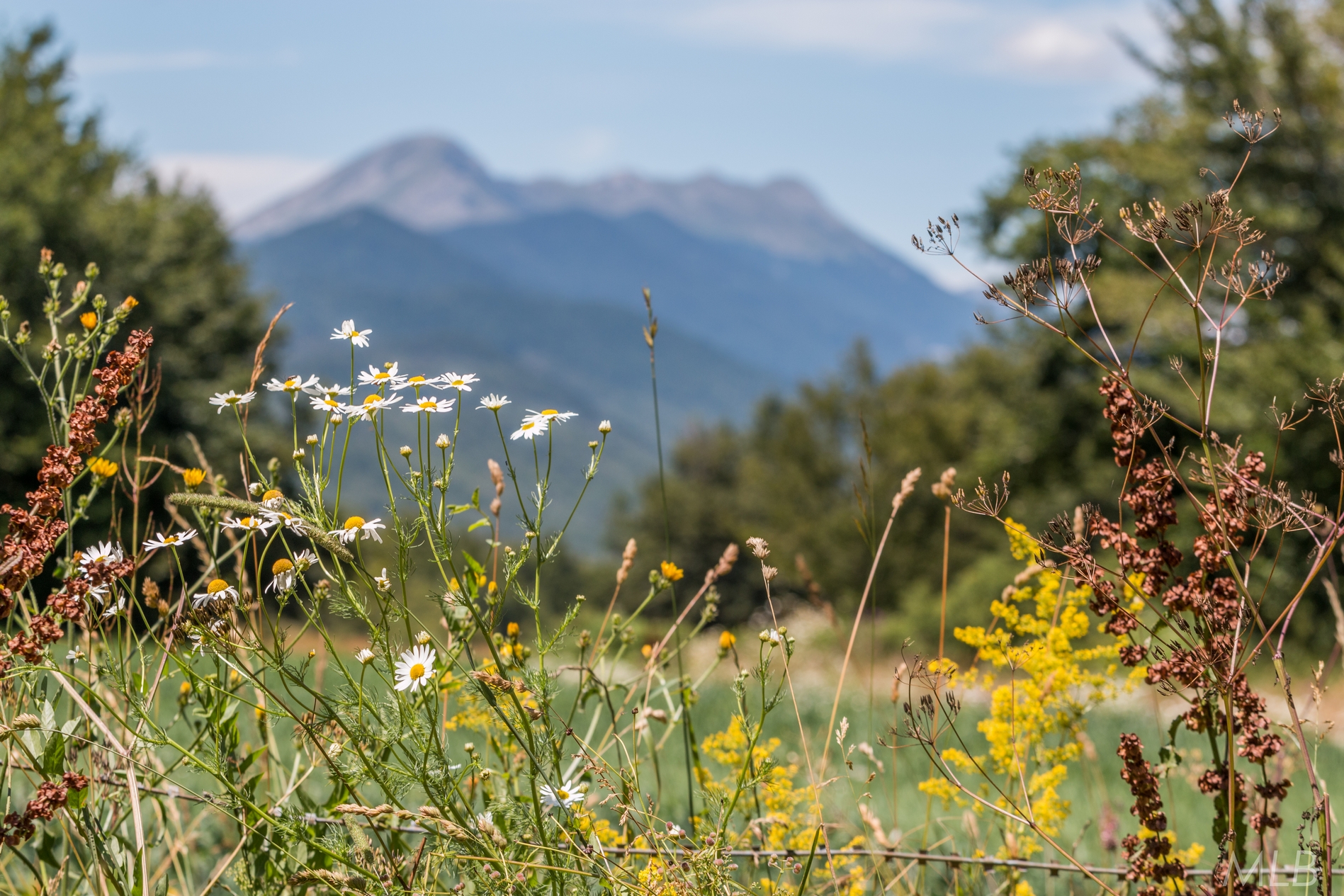Simpatična galerija koja prikazuje životinjsku farmu na najvišem južnom vrhu Velebita – Crnopcu Simpatična galerija koja prikazuje životinjsku farmu na najvišem južnom vrhu Velebita – Crnopcu