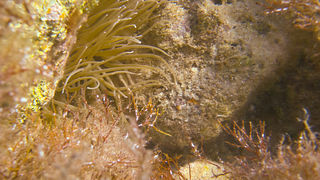 OLYMPUS DIGITAL CAMERA OLYMPUS DIGITAL CAMERA