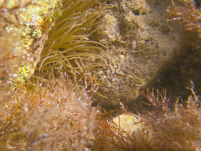 OLYMPUS DIGITAL CAMERA OLYMPUS DIGITAL CAMERA