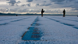 Pozdrav suncu prekriven ledenim pokrivacem 26. studenog 2010, Foto: Leo Banic