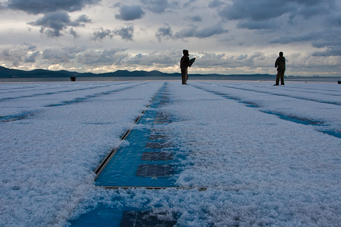 Pozdrav suncu prekriven ledenim pokrivacem 26. studenog 2010, Foto: Leo Banic