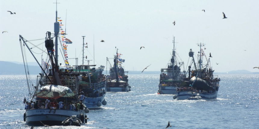 Kali, Ugljan, 080809.
Kali, mjesto na otoku Ugljanu osim sto ima najvecu ribarsku flotu na Jadranu, ima i najstariju festu na Jadranu “Tunuaru”. Festa traje dva dana, a obicaj je i da defile ribarskih brodova prodje Zadarskim kanalom.
Galebovi, vijerni p Kali, Ugljan, 080809.
Kali, mjesto na otoku Ugljanu osim sto ima najvecu ribarsku flotu na Jadranu, ima i najstariju festu na Jadranu “Tunuaru”. Festa traje dva dana, a obicaj je i da defile ribarskih brodova prodje Zadarskim kanalom.
Galebovi, vijerni p