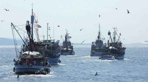 Kali, Ugljan, 080809.
Kali, mjesto na otoku Ugljanu osim sto ima najvecu ribarsku flotu na Jadranu, ima i najstariju festu na Jadranu “Tunuaru”. Festa traje dva dana, a obicaj je i da defile ribarskih brodova prodje Zadarskim kanalom. 
Galebovi, vijerni p