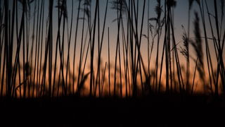 Prekrasan siječanjski suton na Vranskom jezeru. Foto: Vinko Pešić Prekrasan siječanjski suton na Vranskom jezeru. Foto: Vinko Pešić
