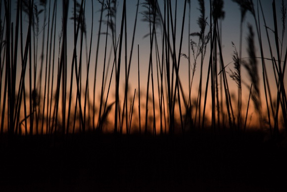 Prekrasan siječanjski suton na Vranskom jezeru. Foto: Vinko Pešić Prekrasan siječanjski suton na Vranskom jezeru. Foto: Vinko Pešić
