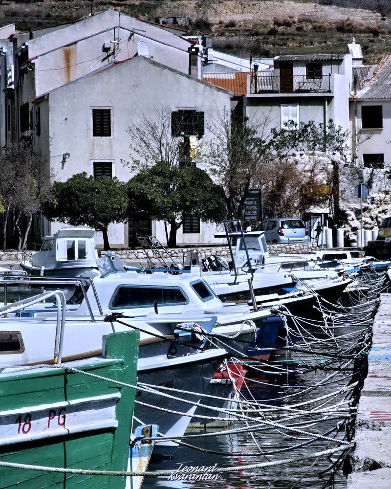 Đir po otoku Pagu – Pag, Foto: Leonard Kvarantan