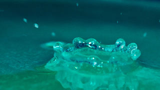 Čudesne kapi, foto: Leo Banić