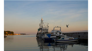 Image 1194619 (auto)