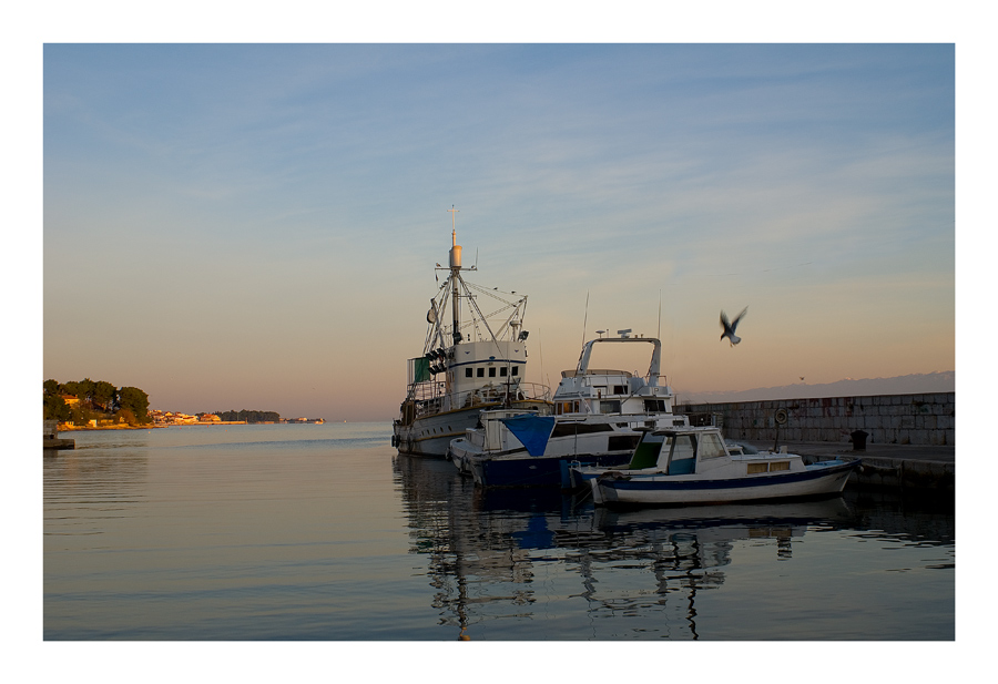 Image 1194619 (auto)