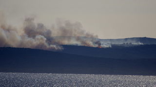 Image 1177167 (auto)