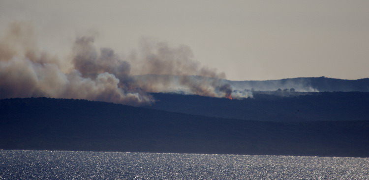 Image 1177167 (auto)